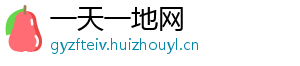 一天一地网